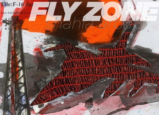FLY ZONE