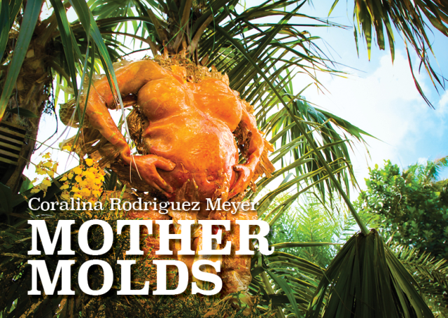 Coralina Rodriguez Meyer: Mother Molds